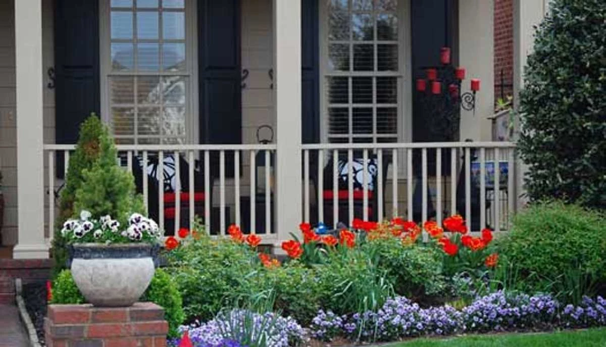 Curb Appeal